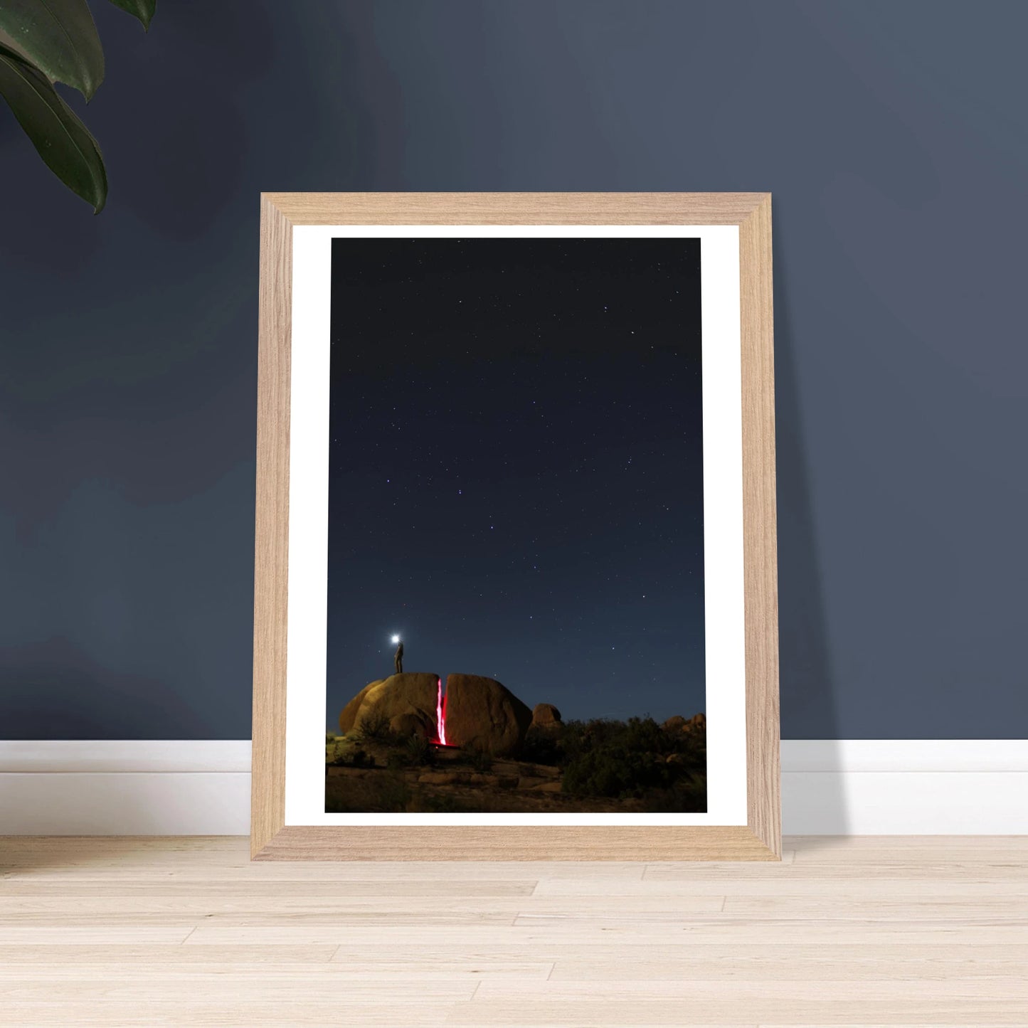 20dec838-1d4b-42ae-876b-cfe57b3addc3