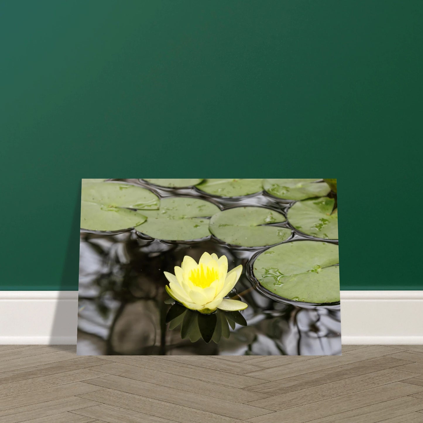 21dab9fa-50ae-4d24-928d-bd55e93cc1ae