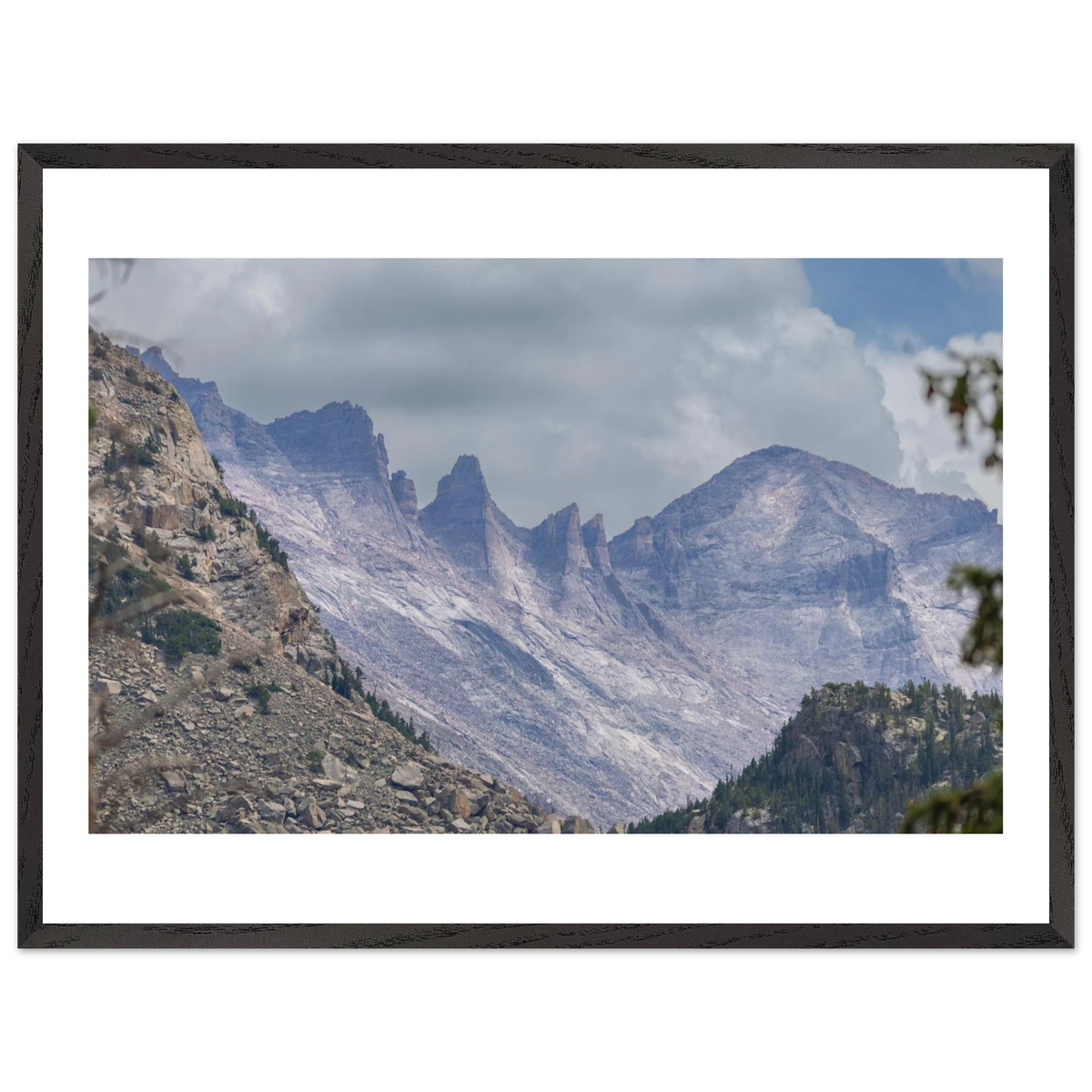 Infrared Redwoods — Dawn Sentinel — framed or canvas wall art preview
