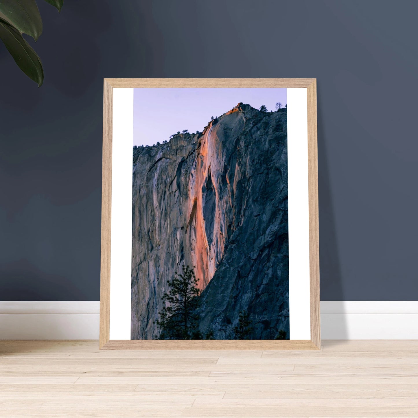 22f1b479-9de5-47ec-b3f5-da44ecc55d85