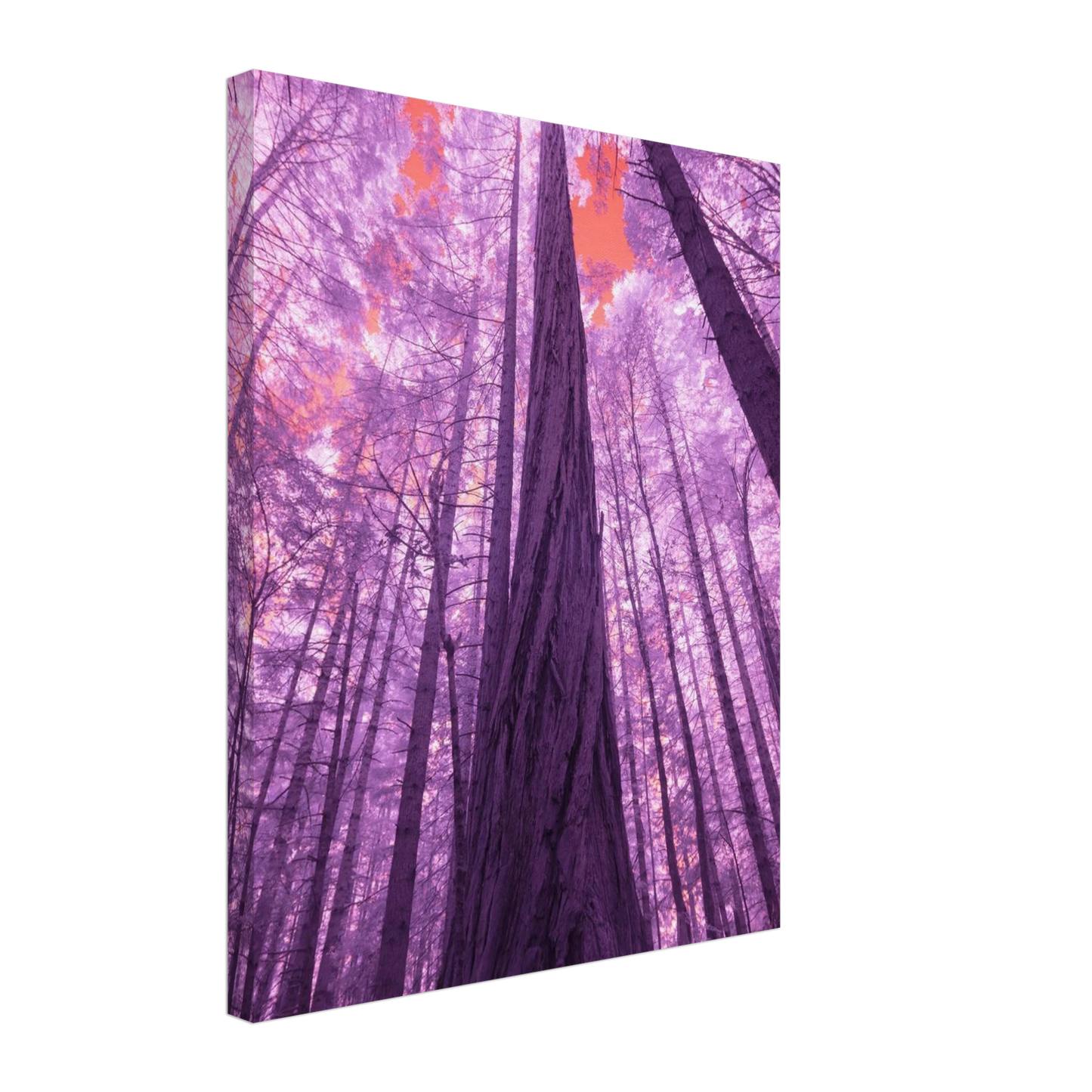 23282347-ddbe-4df2-bff4-6abd31552a05