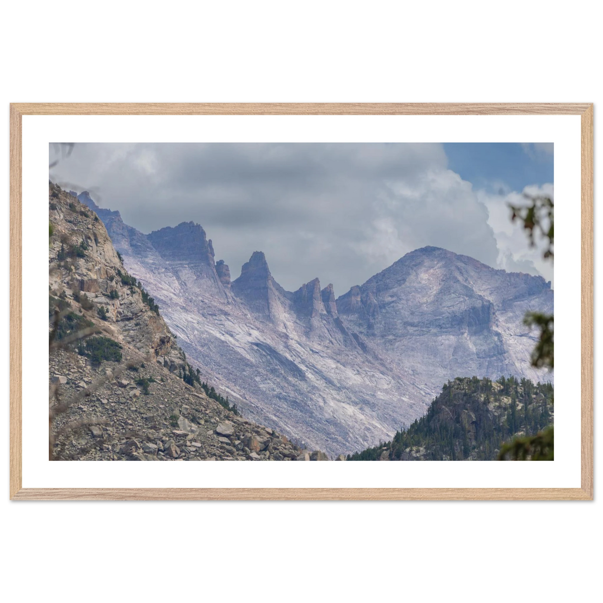 Infrared Redwoods — Dawn Sentinel — framed or canvas wall art preview