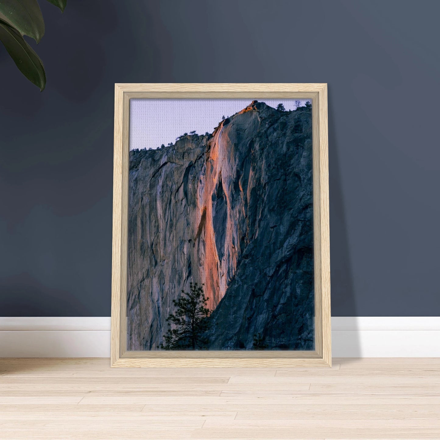 27c632fc-9886-473b-9e41-e26e3648f246