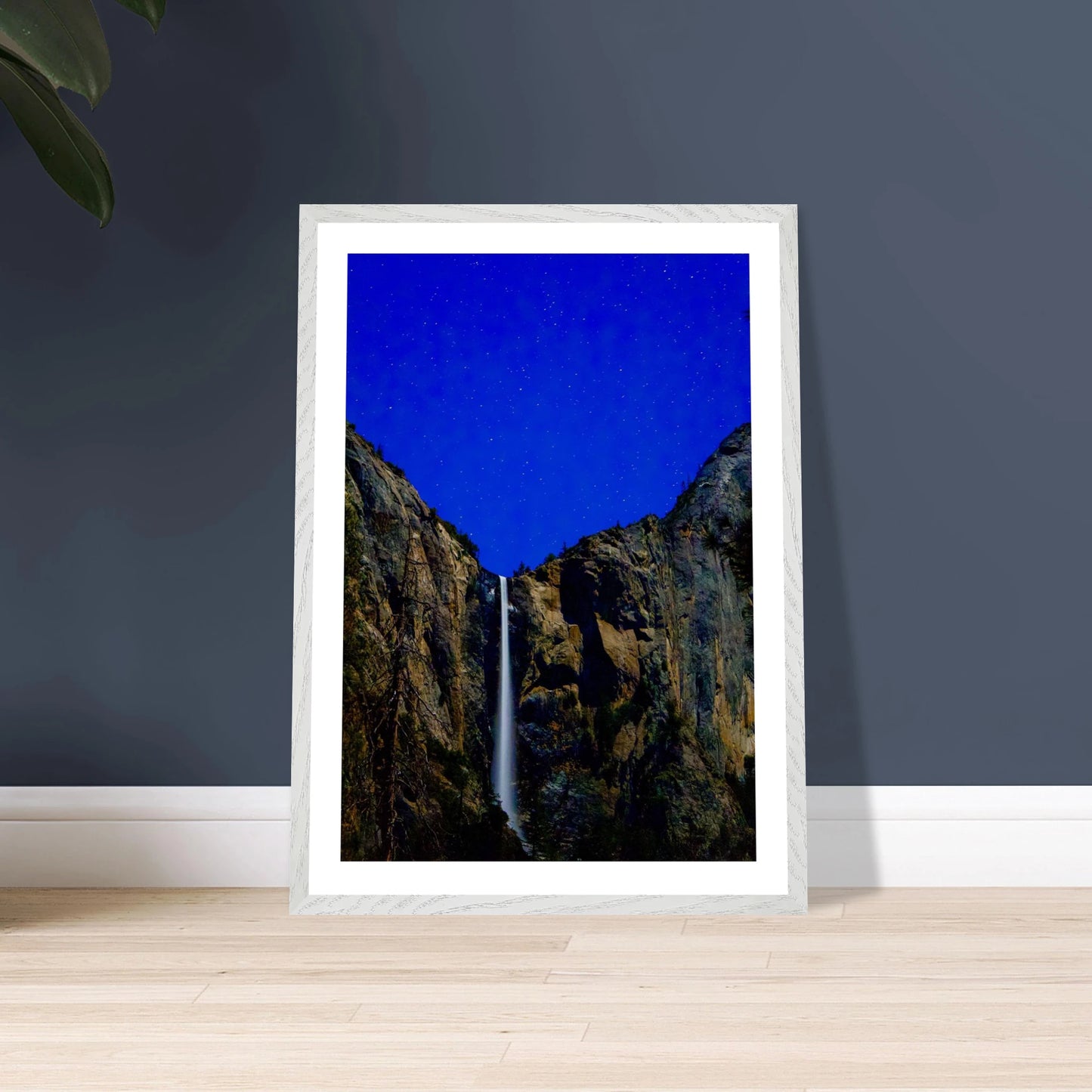 2831d244-9b61-472f-a06d-dc7650490070