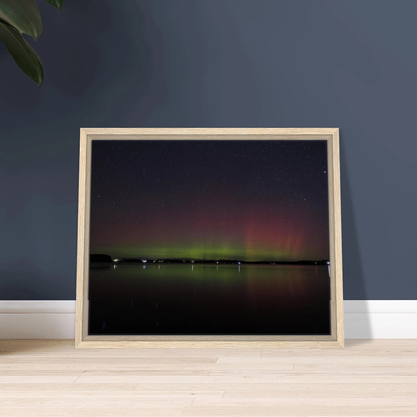 287a29a3-028e-489d-9f9a-dcc628e032f9