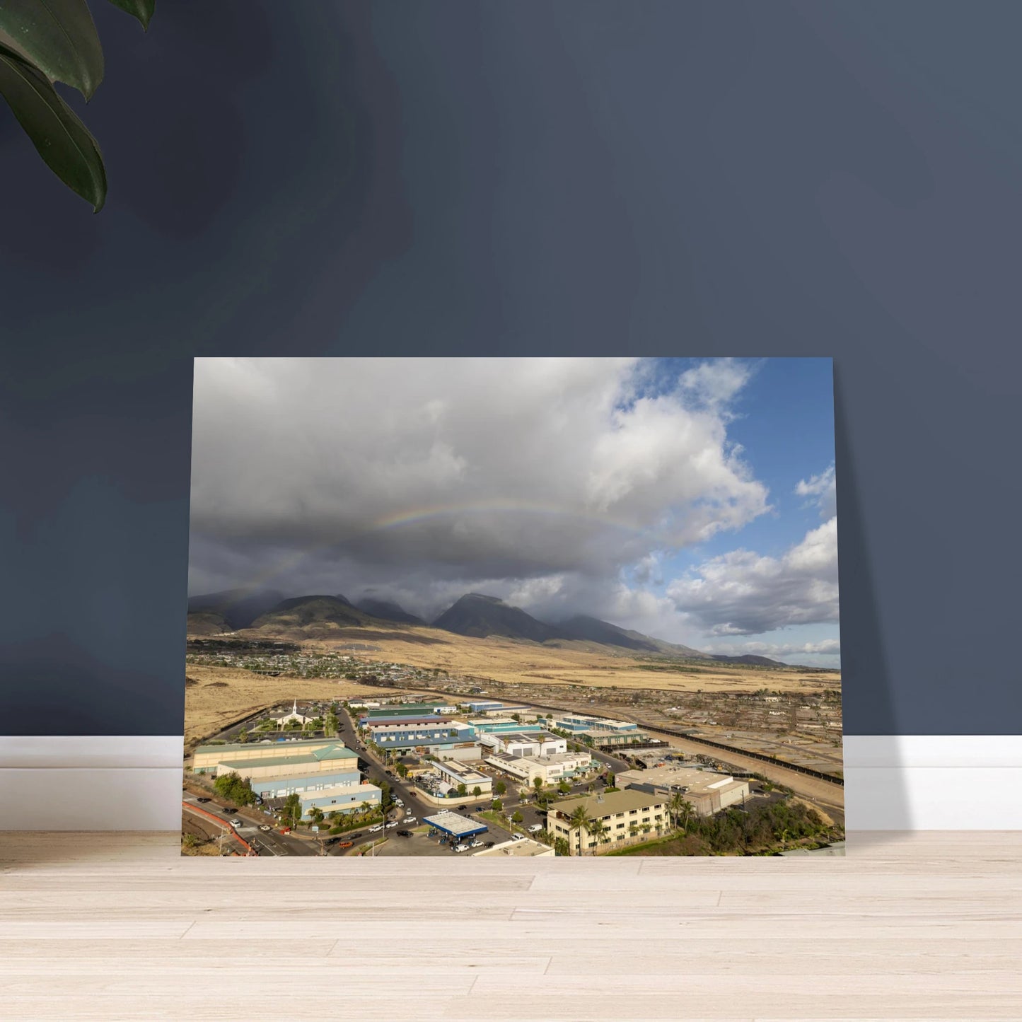 290d2bb3-133c-43f4-8c0a-50ad45e4c210