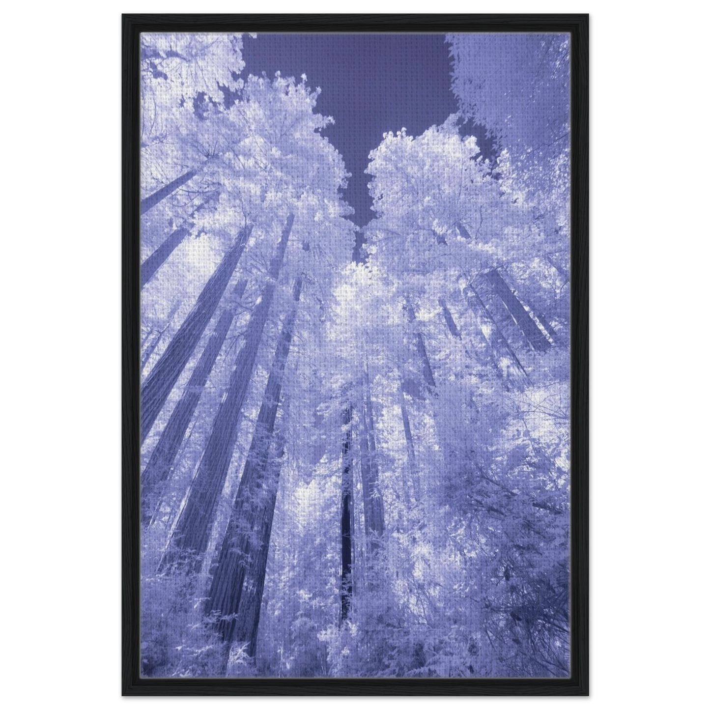 294ca7ae-8ea5-4136-be96-3e11048f8205