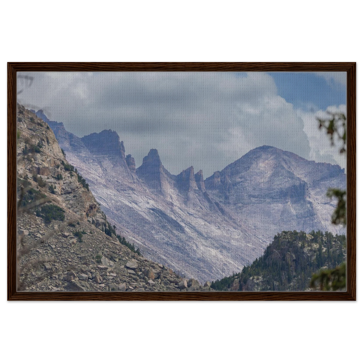 Infrared Redwoods — Dawn Sentinel — framed or canvas wall art preview