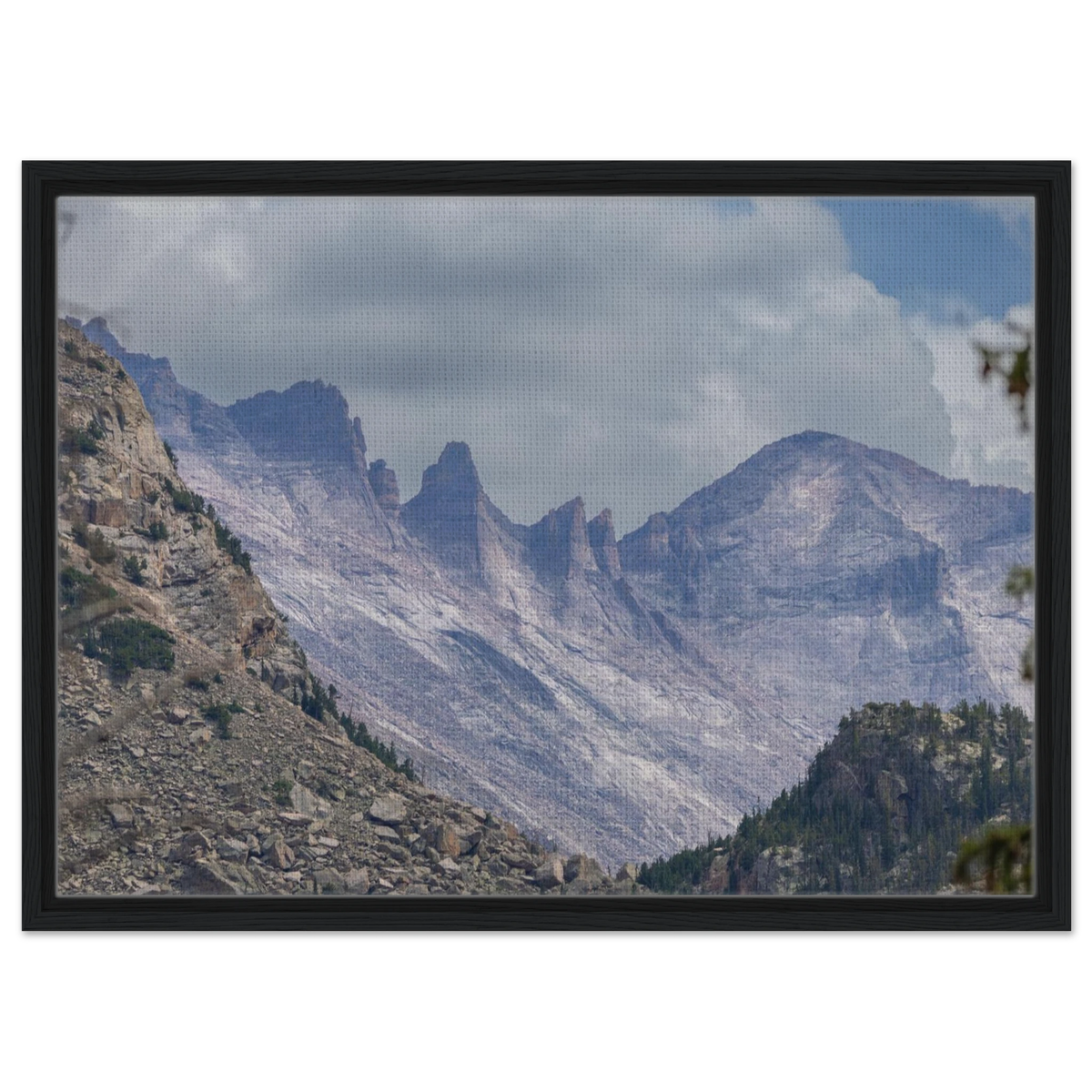 Infrared Redwoods — Dawn Sentinel — framed or canvas wall art preview