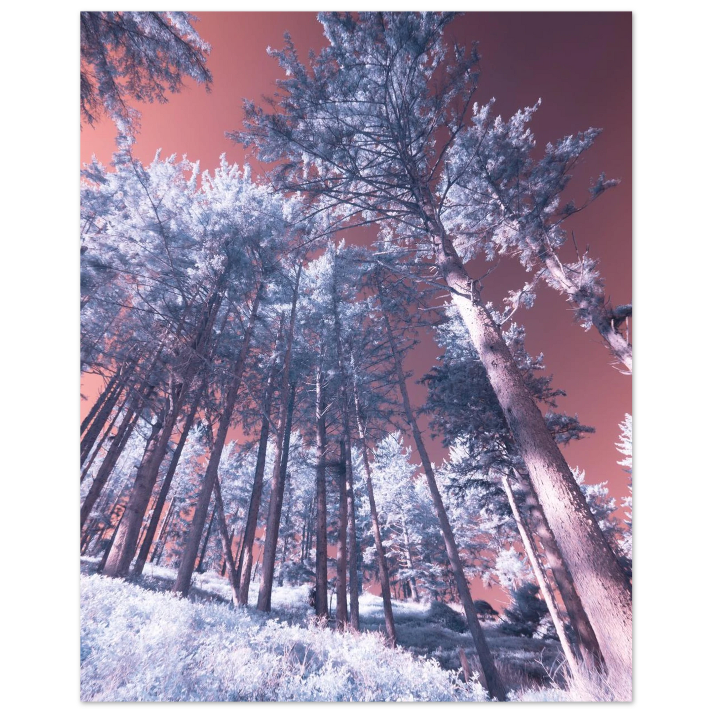2ba35ea0-2cc3-4220-b509-5550e04055c2