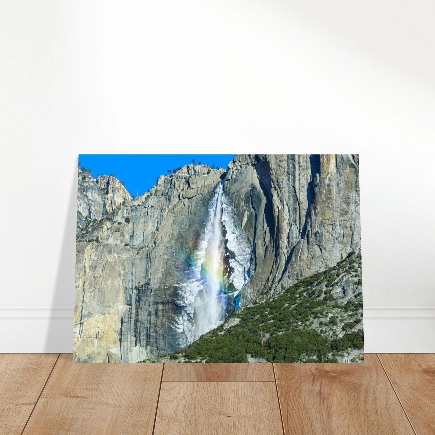 2ce5ddba-065d-4106-9018-4d9cdbdb5aaf