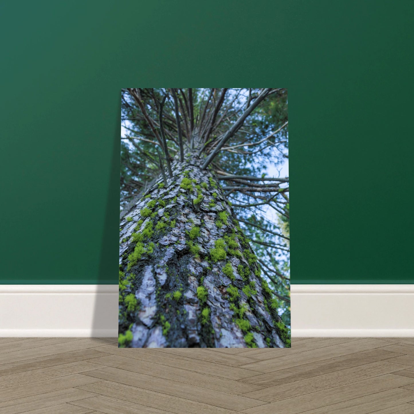 2d52786b-7fcb-4959-bd16-46d63fa250fb