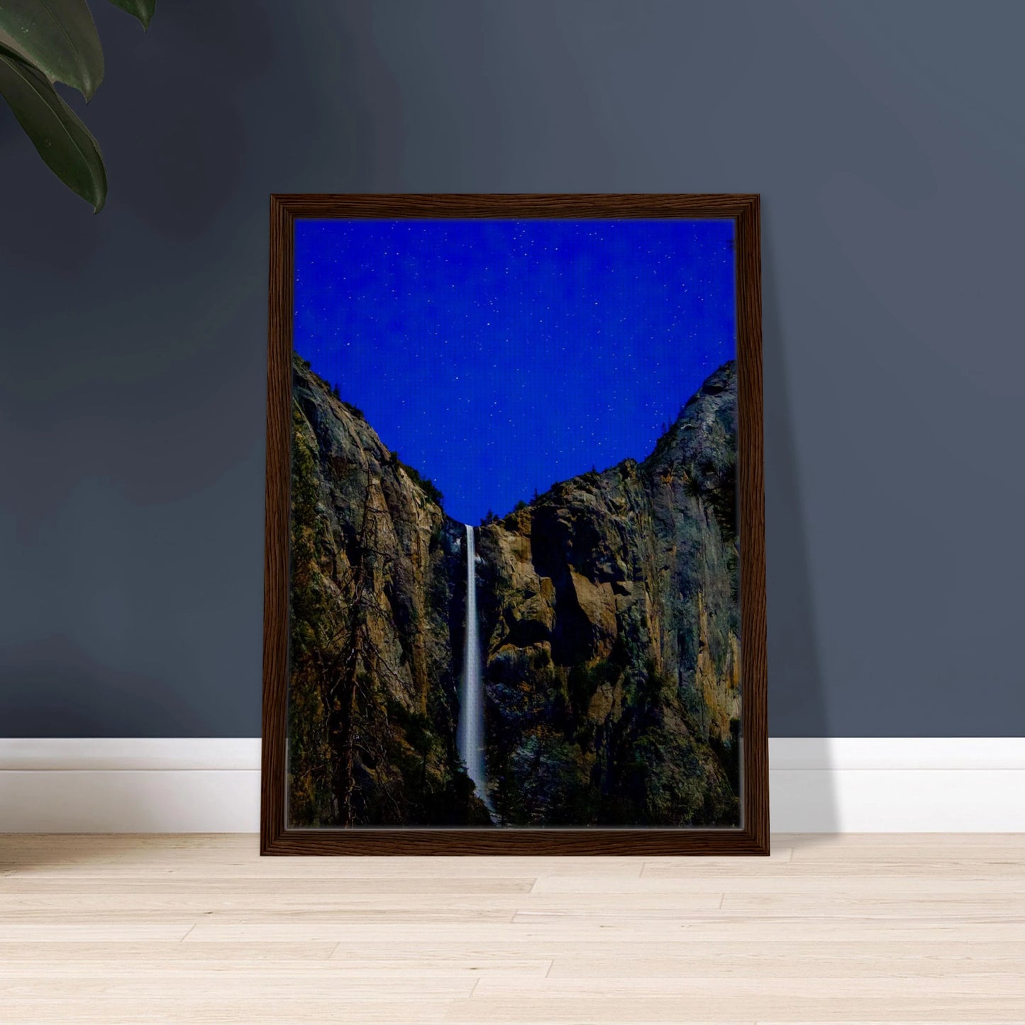 2d615b06-d841-4687-aa5a-0fc0eba3b078