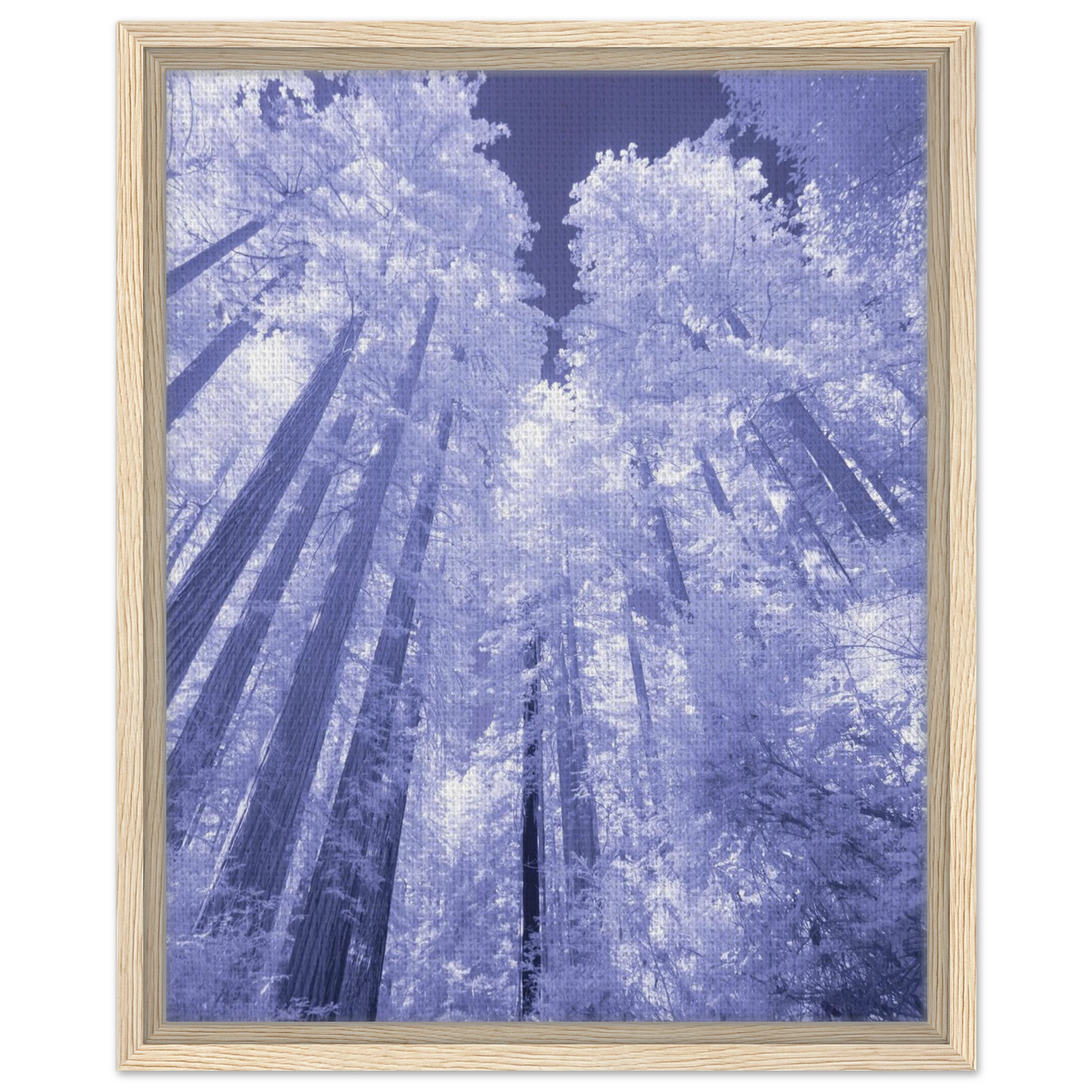 2dd43165-9d2e-46b9-8853-4e9c4d3a5690