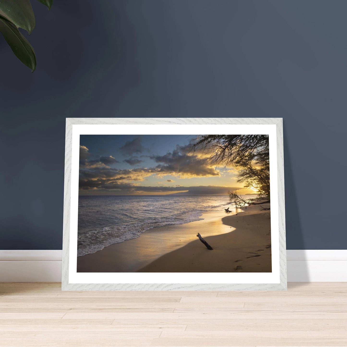 2e9c4c27-fe29-497c-85a4-d7085f2003cd