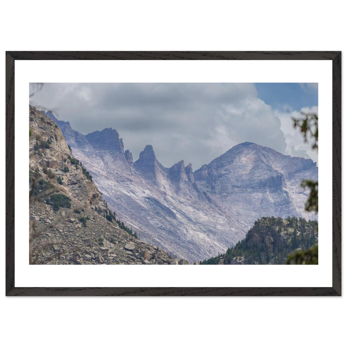 Infrared Redwoods — Dawn Sentinel — framed or canvas wall art preview