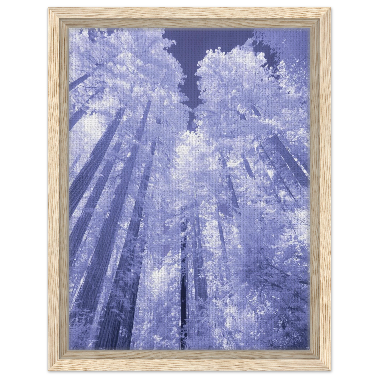 2f800882-2bec-4bd0-bee5-01107f39bfcf