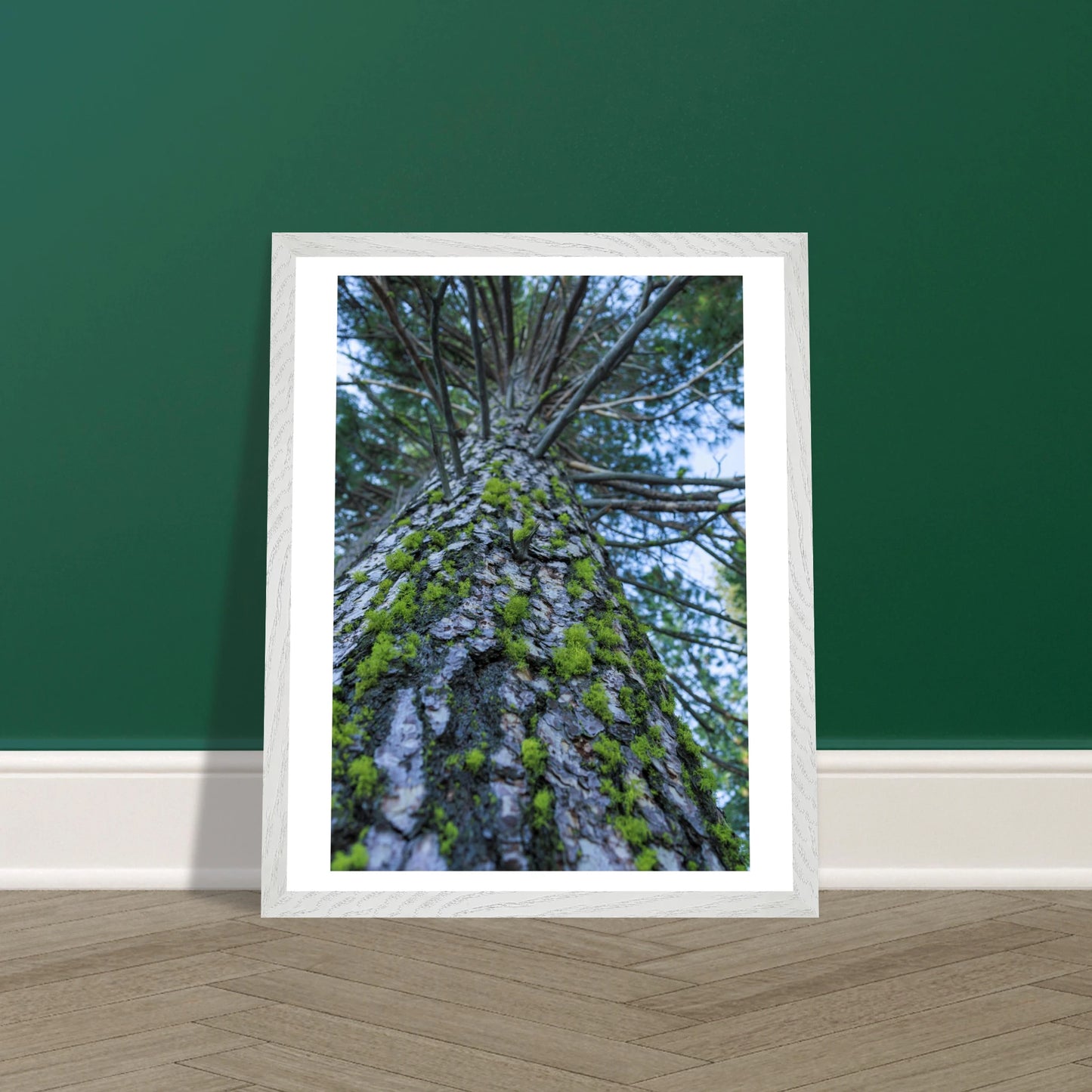 30199d0a-d0b6-4f9c-841b-9dff36aefe6c