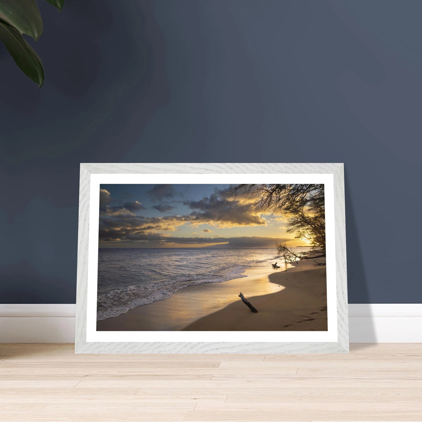 3216eb04-7faf-452c-acdb-23f340480ad8