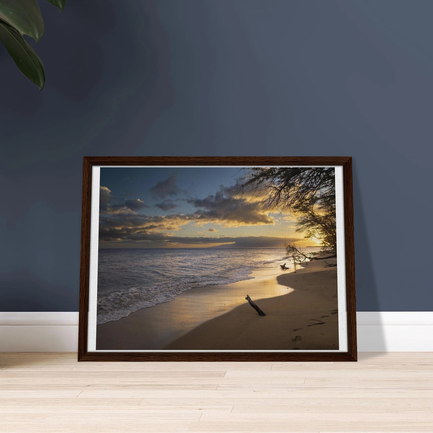 3369de36-e35e-42ac-b9b6-3748d1cd31cc