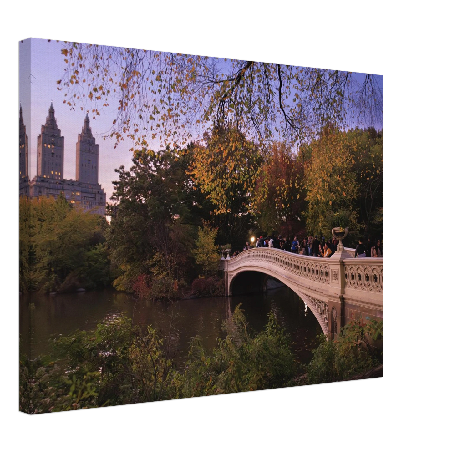 352f8d4c-cf1f-4871-b5f9-9eeb24a6f801