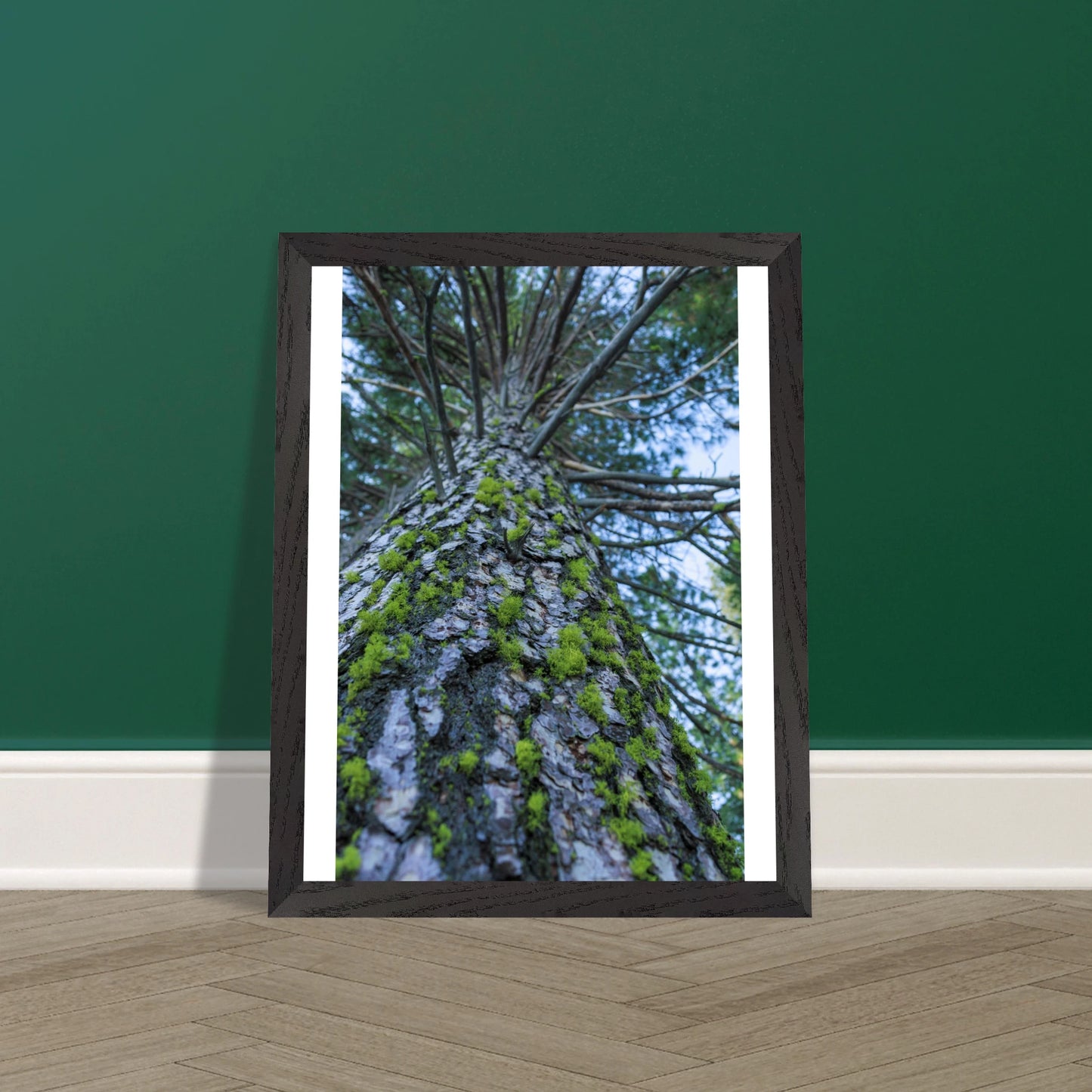 35e5c6ef-b3ce-4745-aeb2-066f345ca123