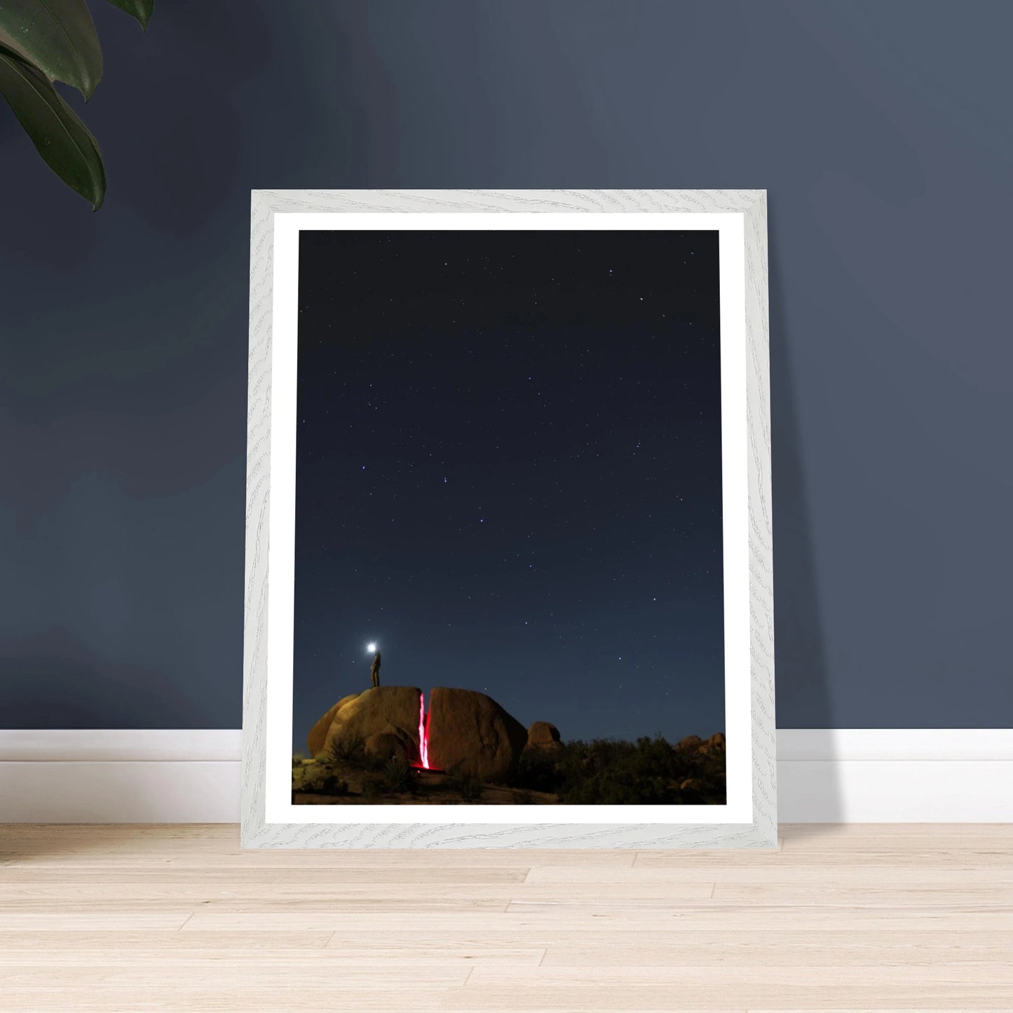 369dd8ac-e204-4bd3-9b5c-c3de72e58f2c