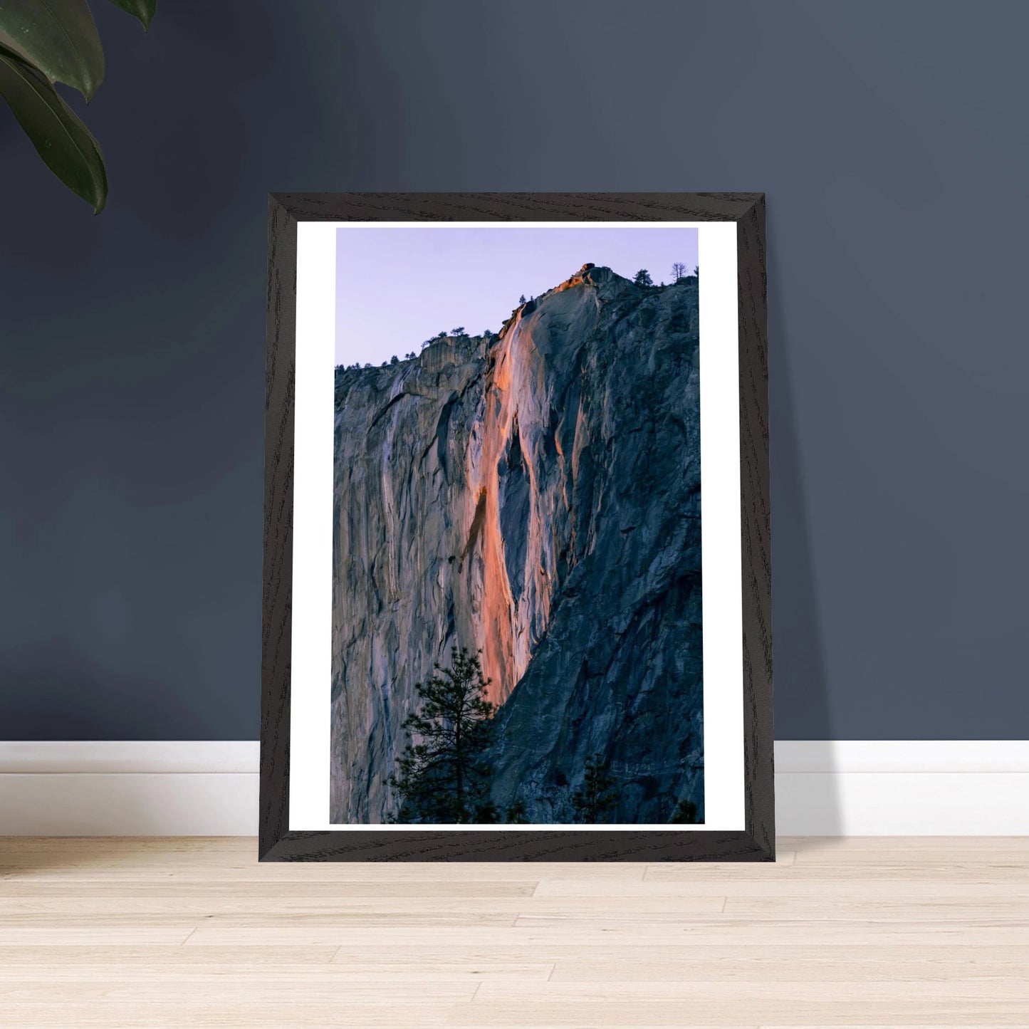 36ab5e00-07a8-4429-8268-2123c7eba0c5