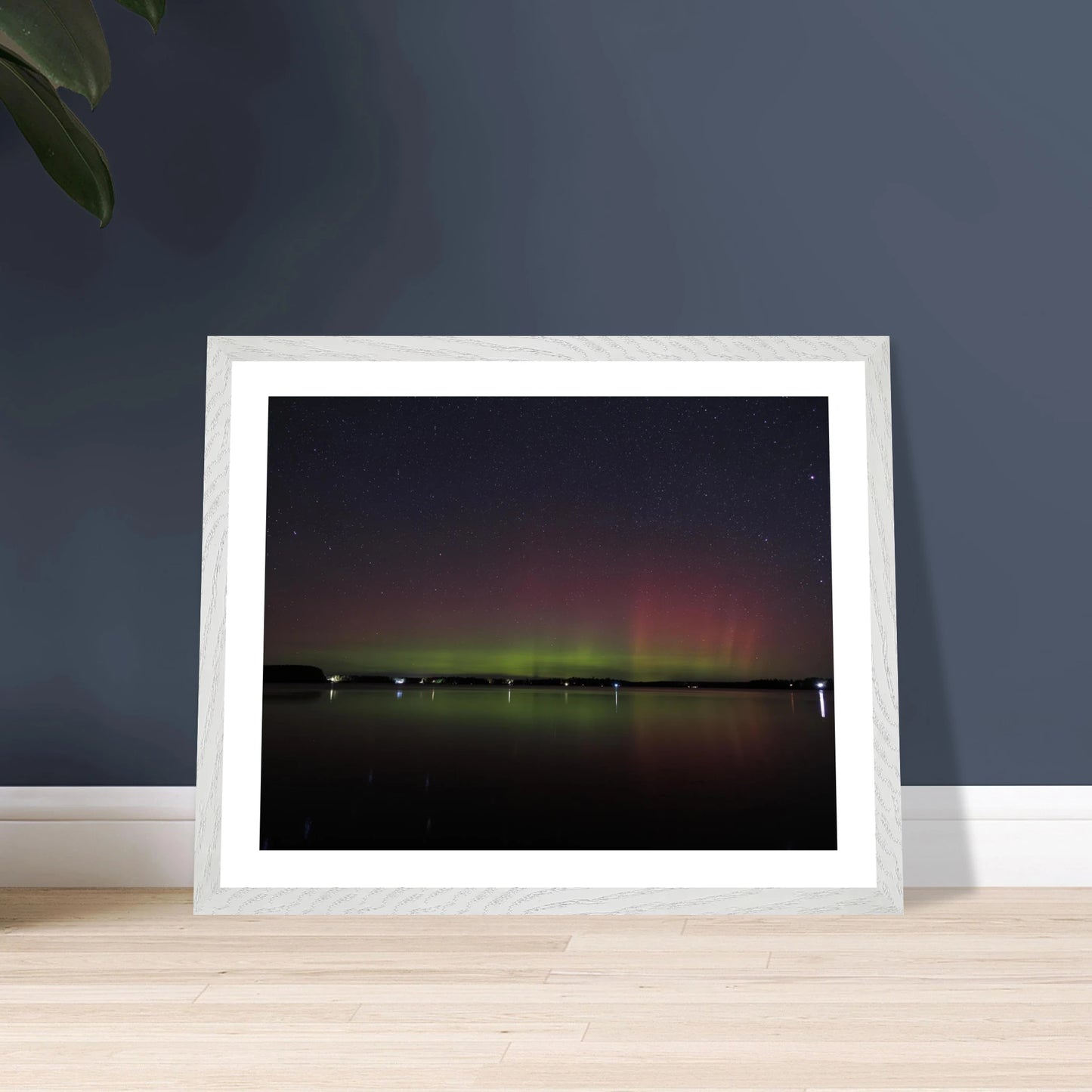 36fa88aa-4931-4f15-835b-75d9c5ca0f0c