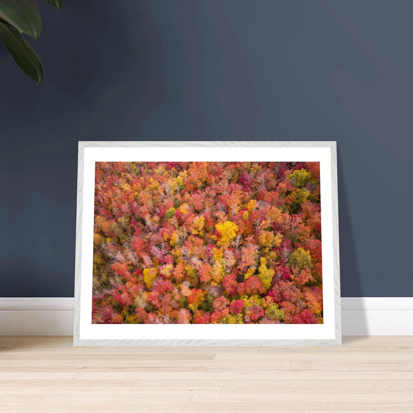 3855bea4-8d05-4123-97da-2726d06bfa03