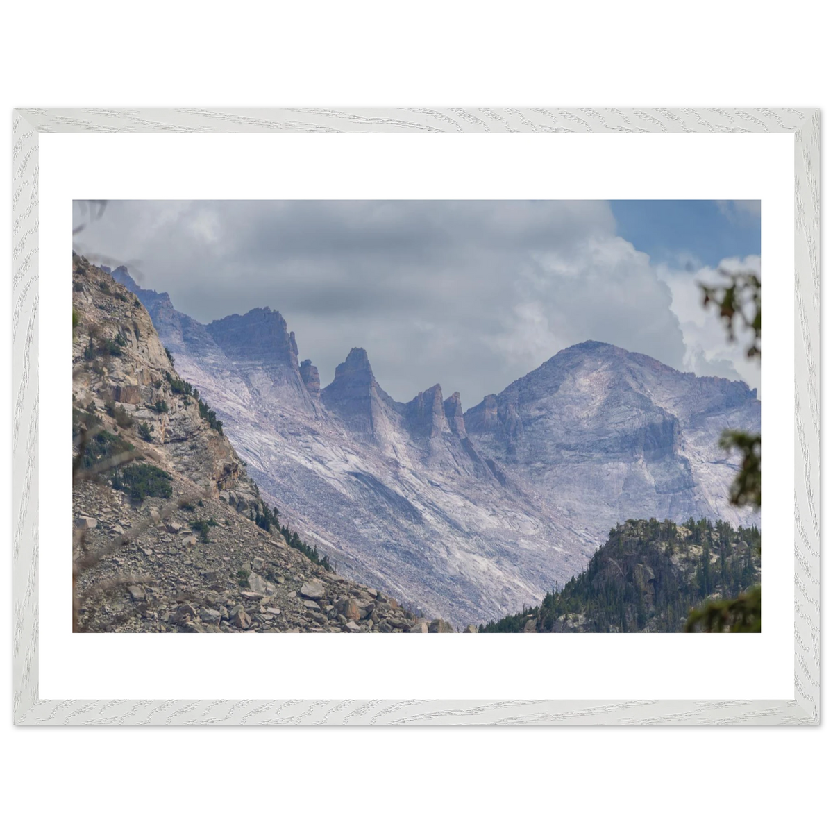 Infrared Redwoods — Dawn Sentinel — framed or canvas wall art preview
