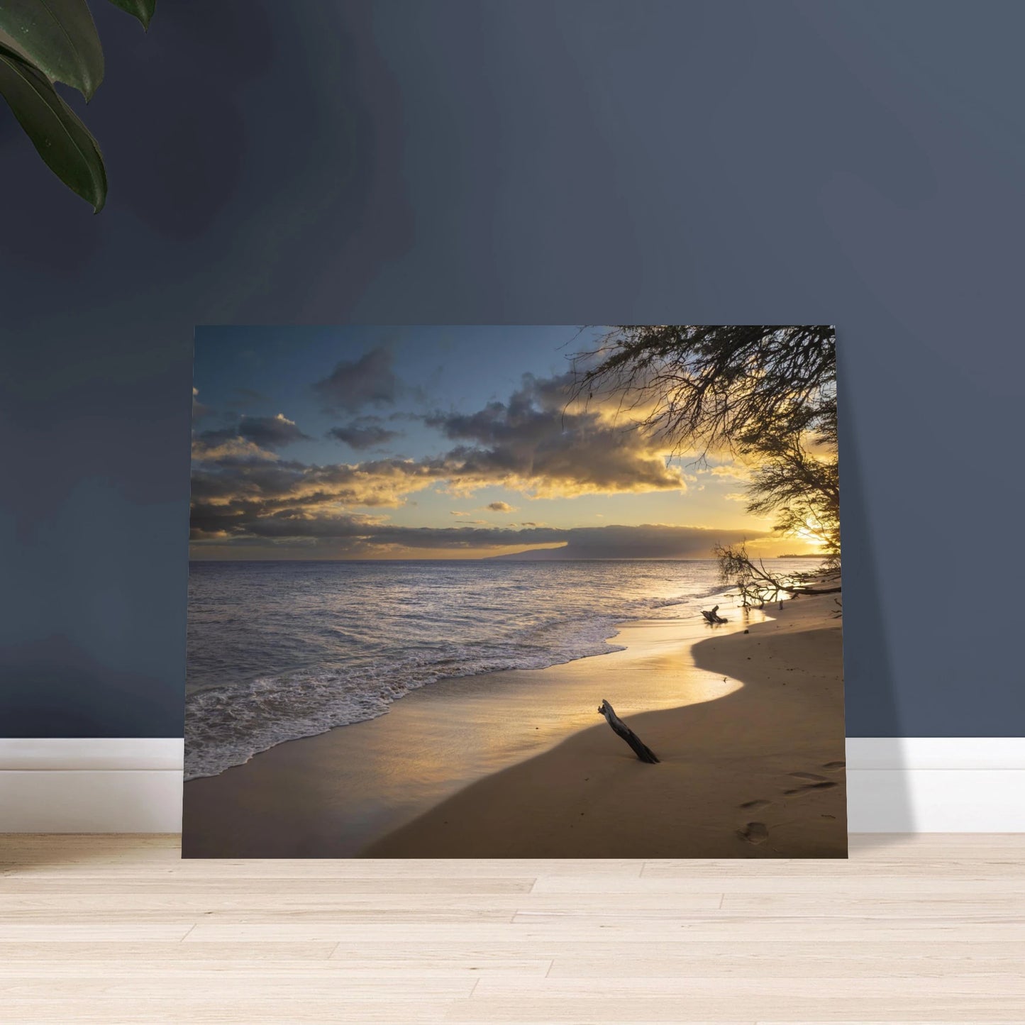 38aa2311-ef75-45b1-84d7-7fd39e6acb53