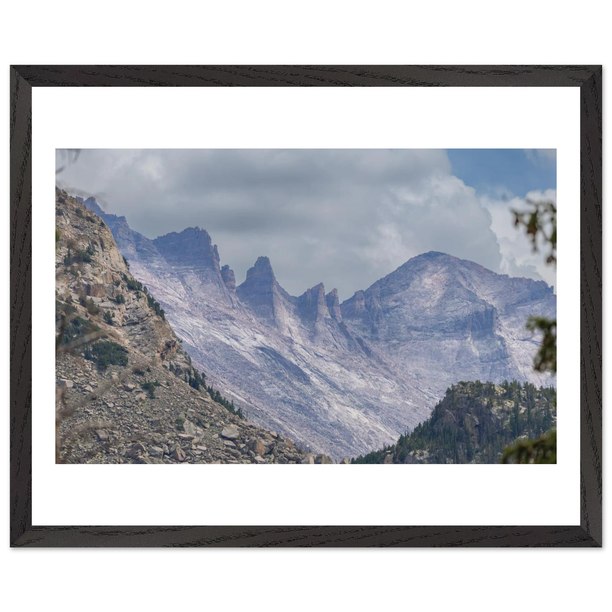 Infrared Redwoods — Dawn Sentinel — framed or canvas wall art preview