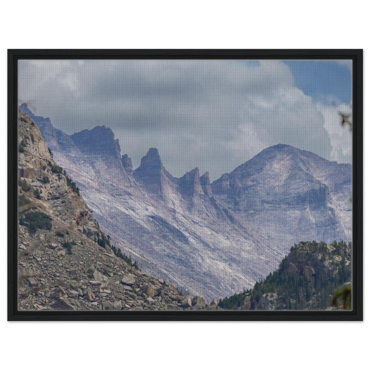 Infrared Redwoods — Dawn Sentinel — framed or canvas wall art preview