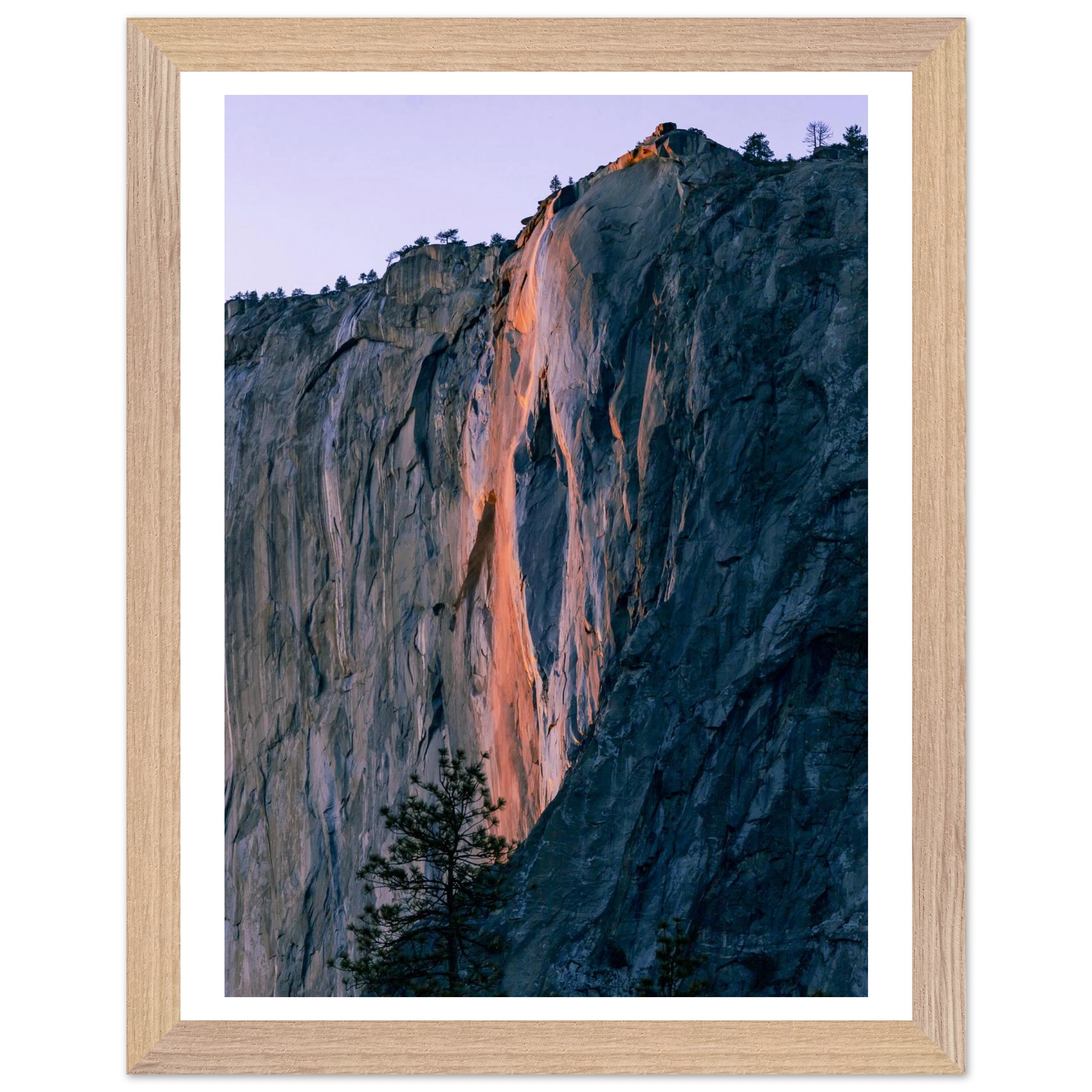 3fa0d28d-1c09-4a67-9720-f7da4695f244