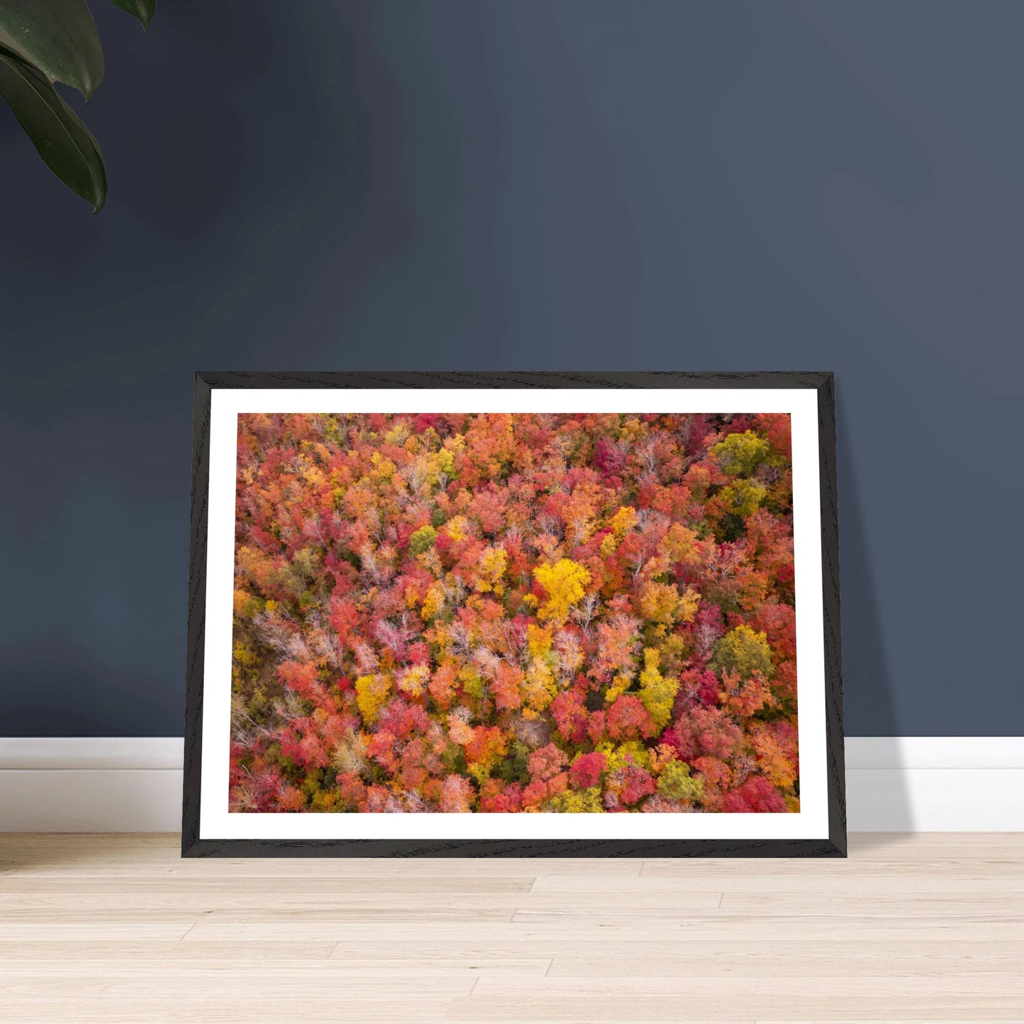 3fe34ff1-6b45-47da-92a5-45834a607a1d