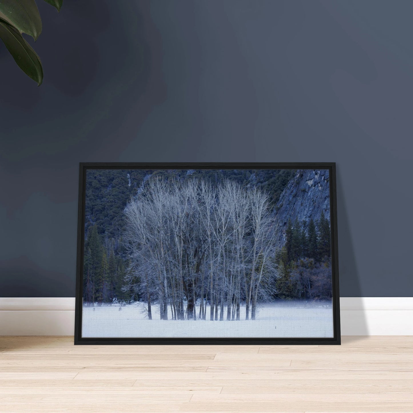 40844a30-afe3-49b4-8b6c-1b44343e8c11