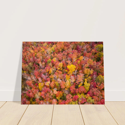 4143a1b7-d290-42c0-9065-84afc1cddf4b