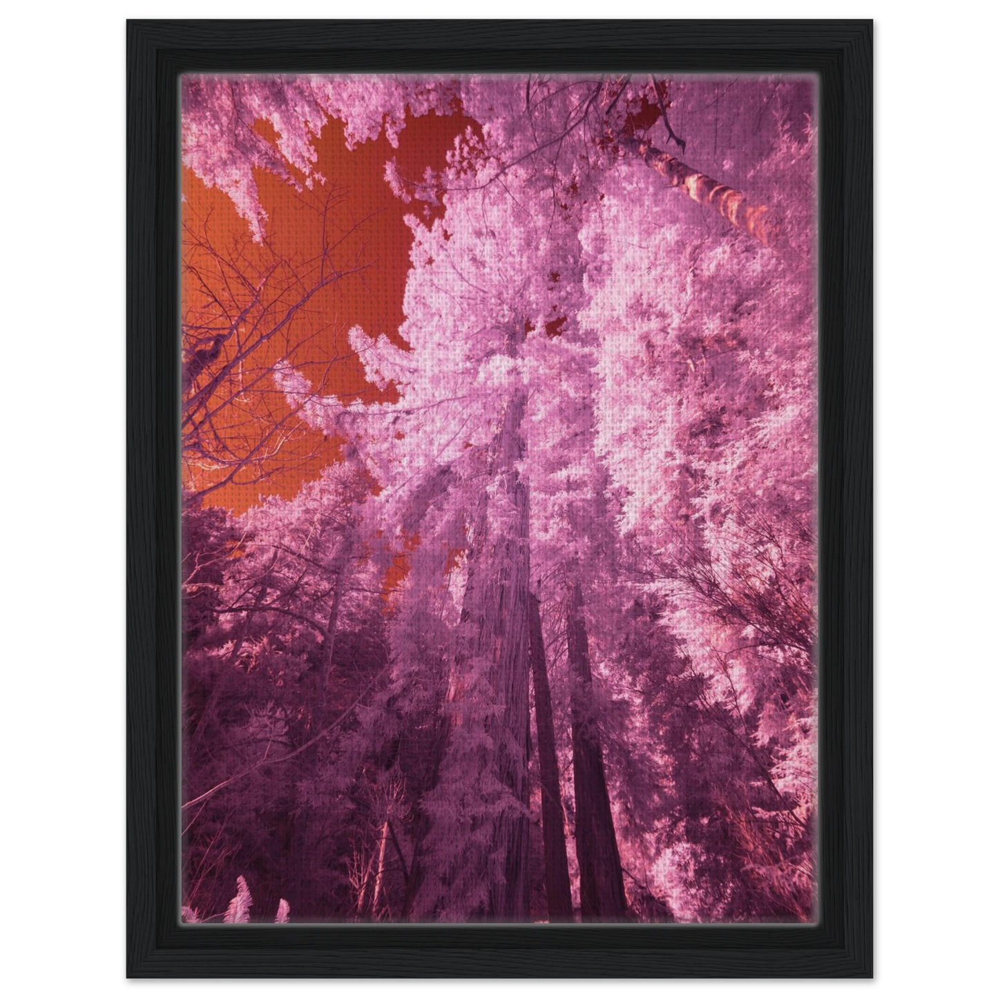 414f2304-ee14-497f-9e94-42ef6017a82d