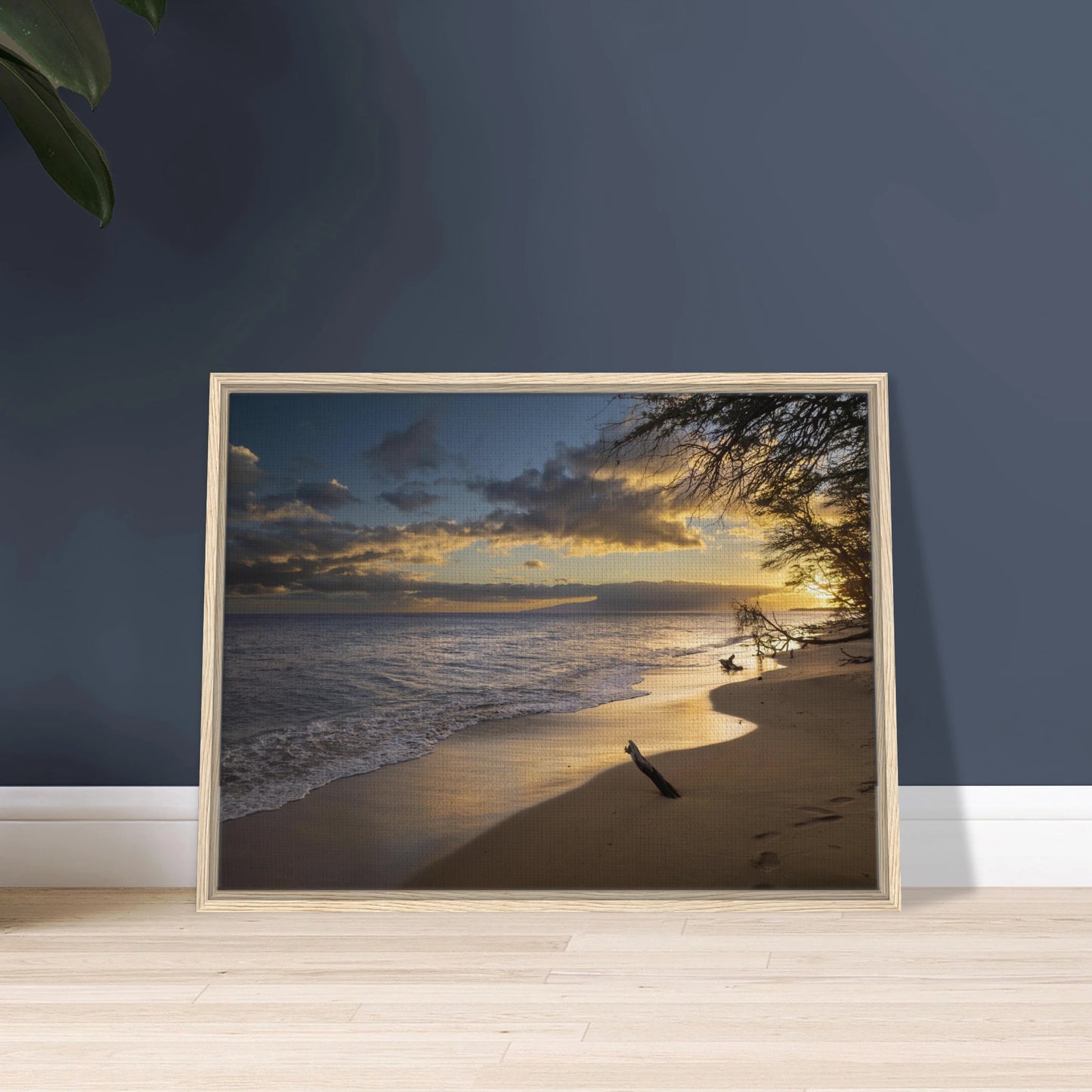 434b32a3-58e9-41c1-ba35-95146dae1d43