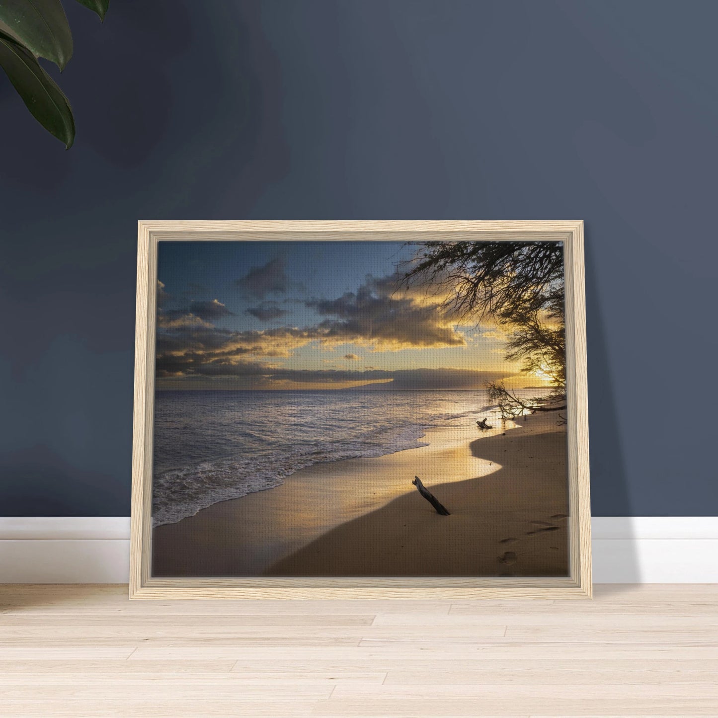 44366912-f317-4cfc-affa-8fe7e068db10