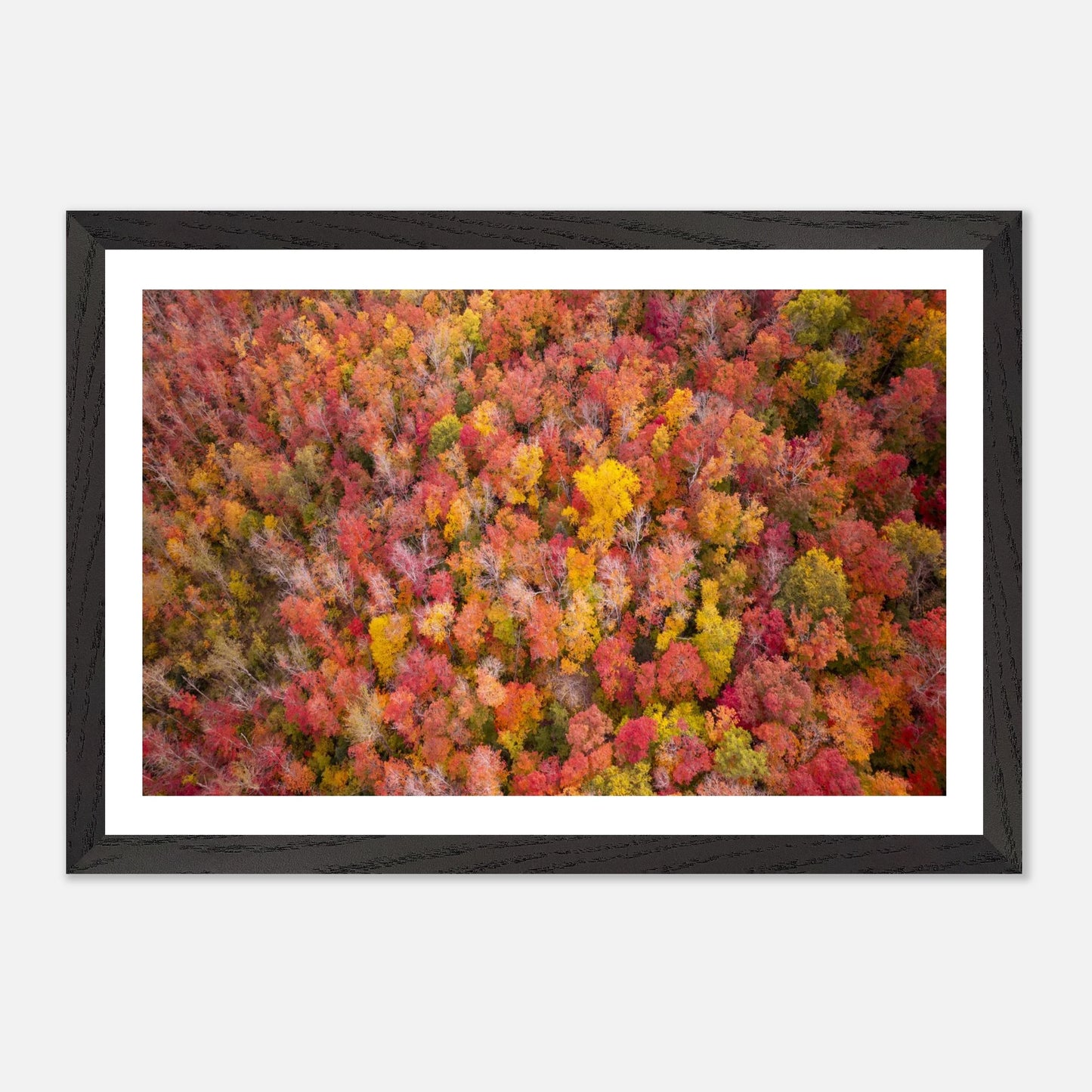 457f56b2-c0c6-4bea-895c-8308d9106a3d