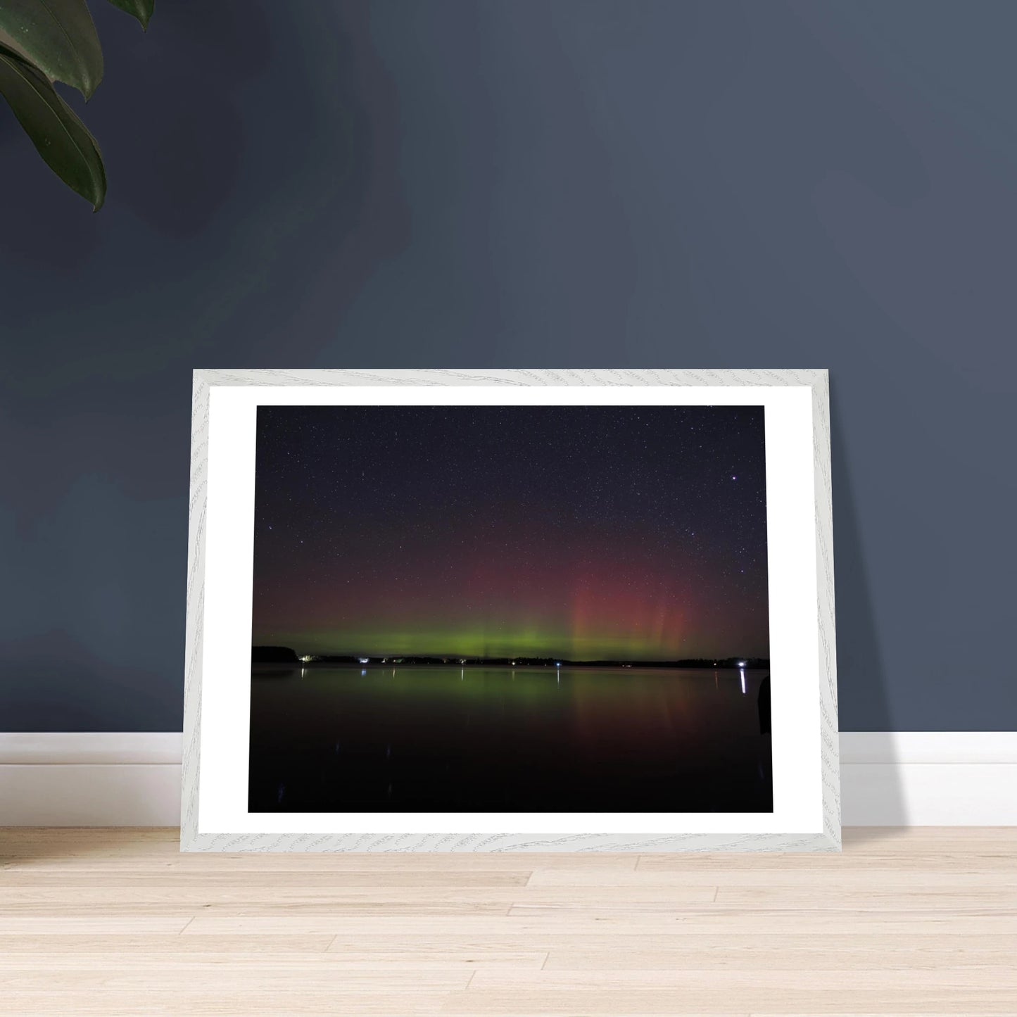 467b2cff-1d72-44fe-8bcf-ea1486c1214f