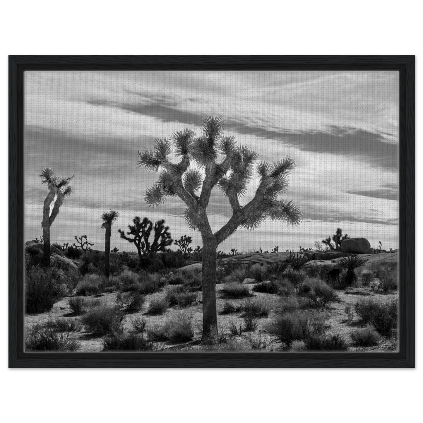 47199936-abd2-4116-b083-0c411f996820