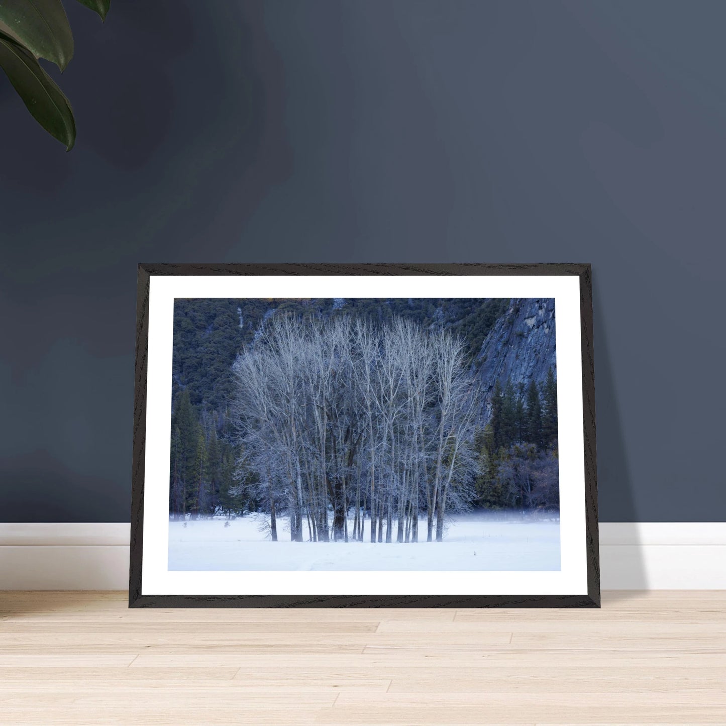 4796512e-dde4-42ee-a7f9-80d96413e6b6