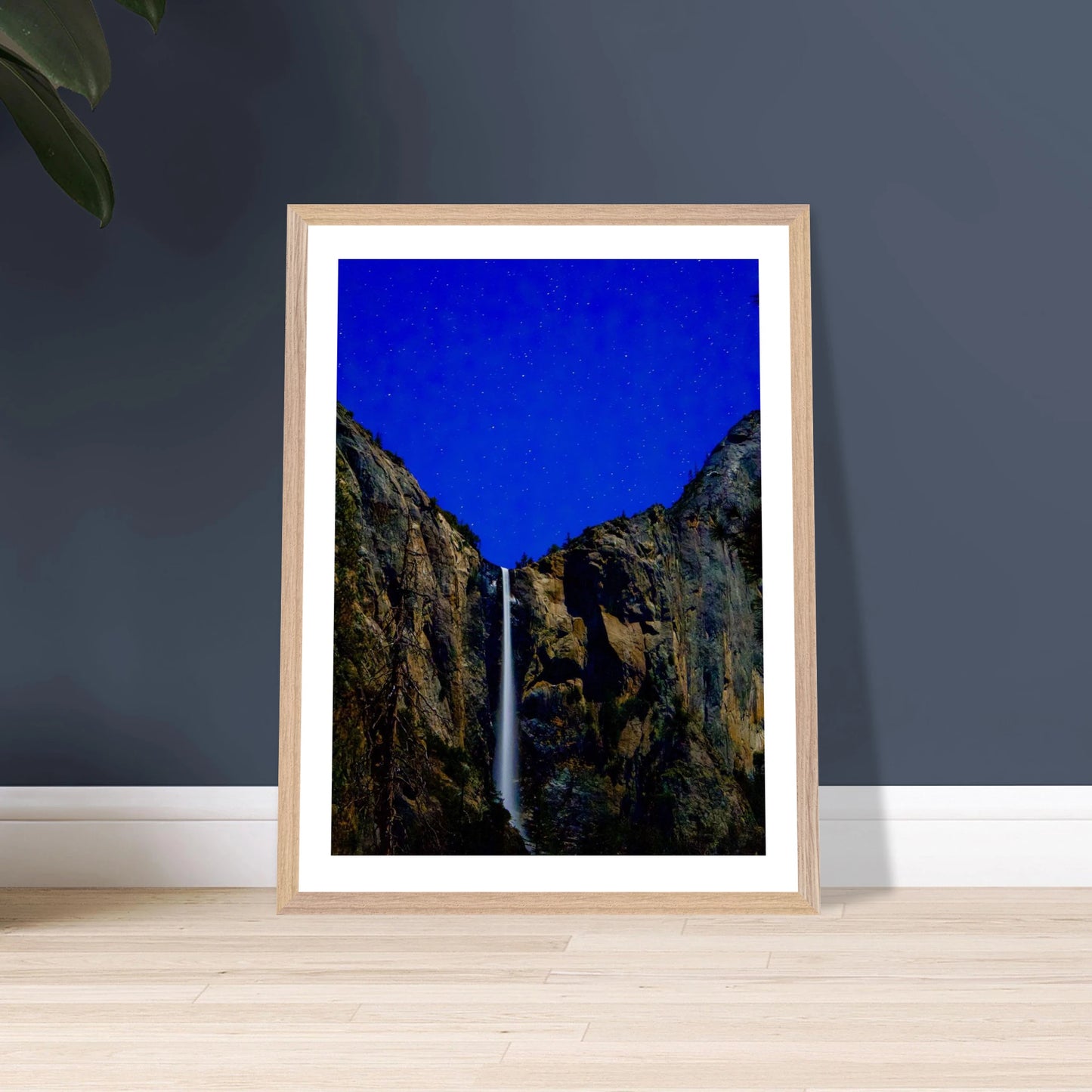 4a94ba76-134a-4839-804f-78988de909f4