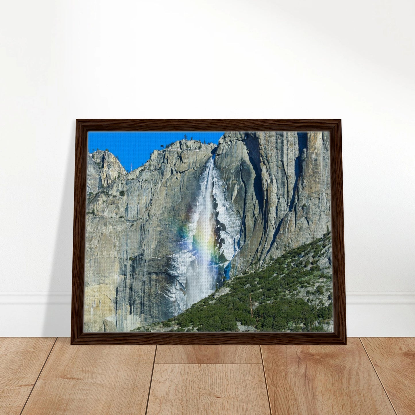 4d65456f-0049-4283-9ace-fa273b9ef9aa