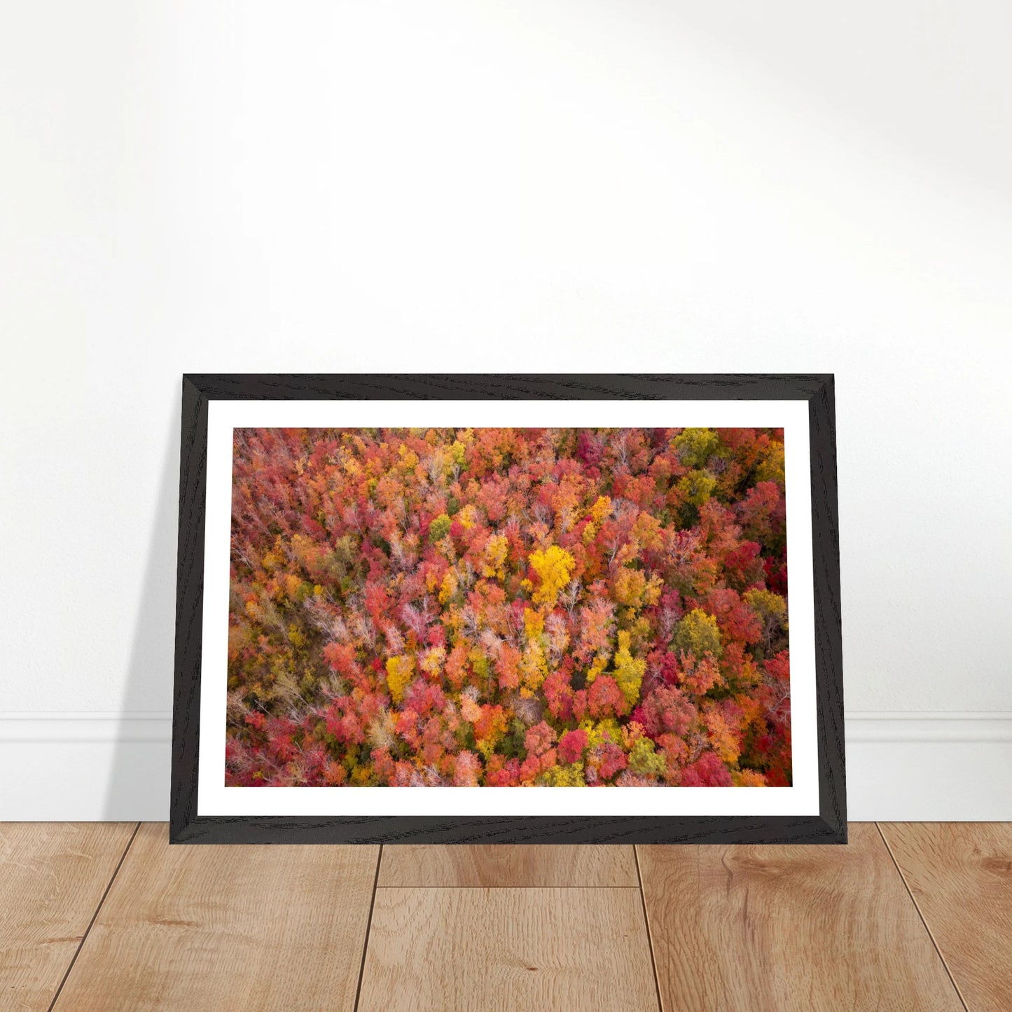 4e01b96c-4c55-4a33-8521-b8a9e8b8eac9