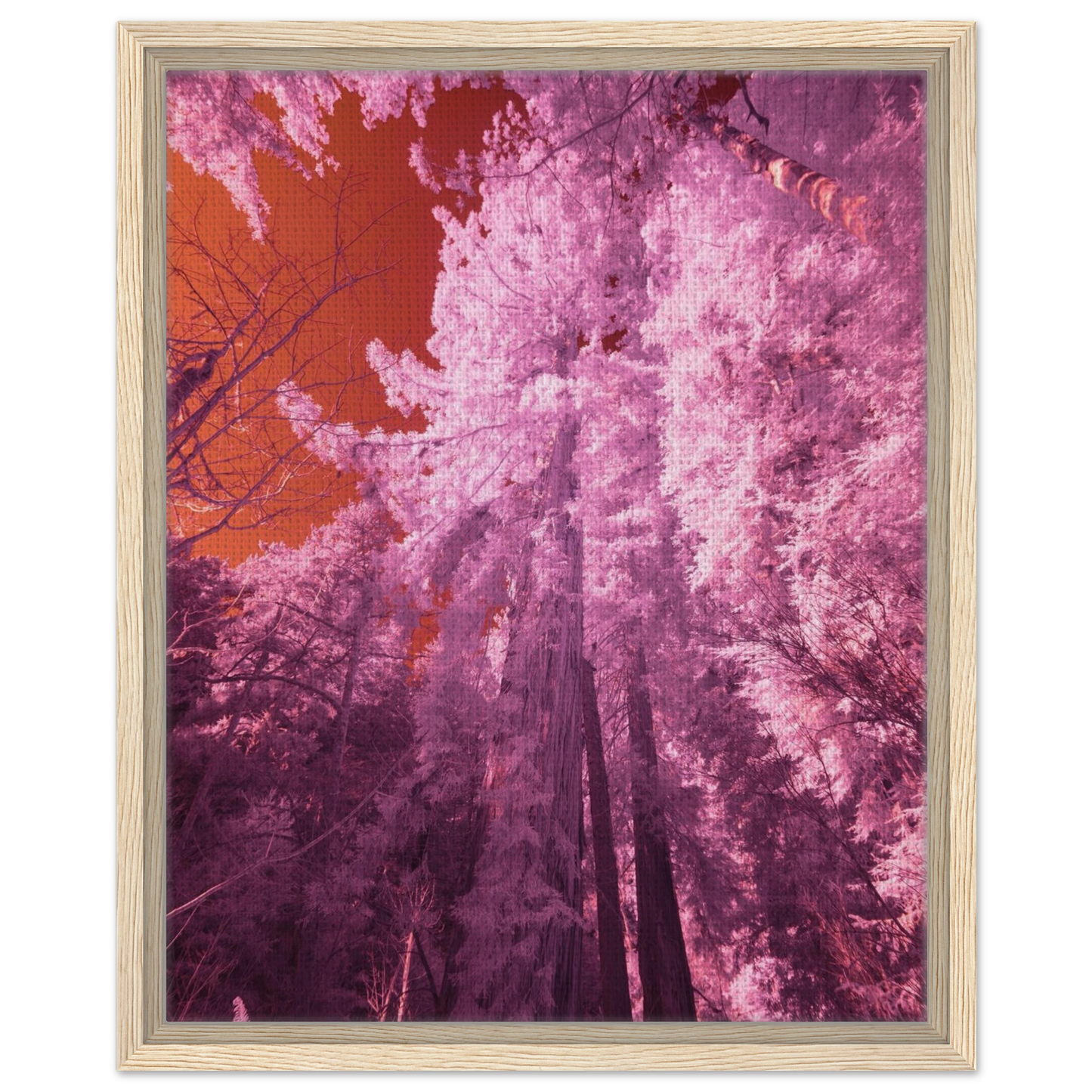 4e1cf976-7375-47f2-80b1-2a6cc3ce7131