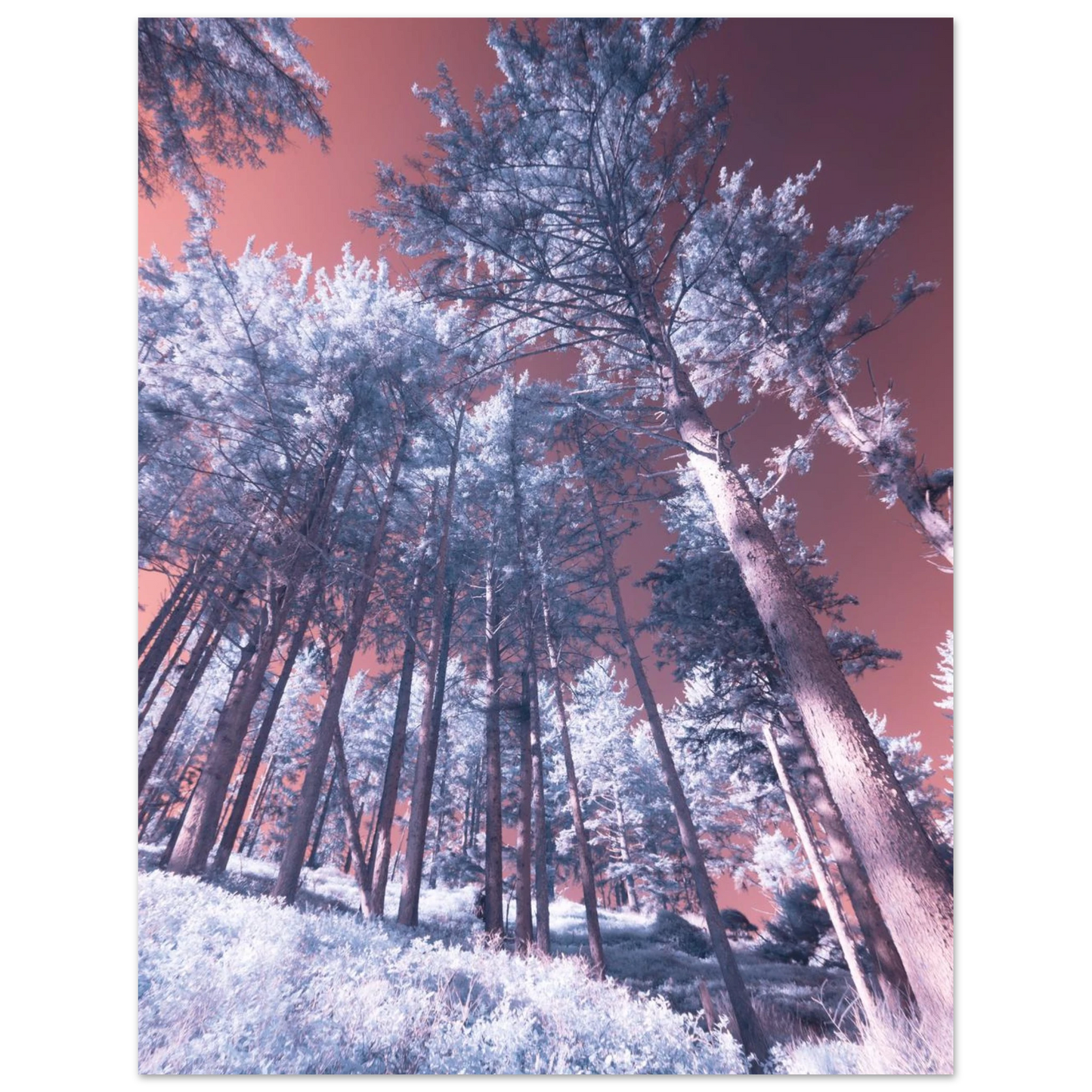 50ba6d28-9379-4bbd-a040-506e559e0d66